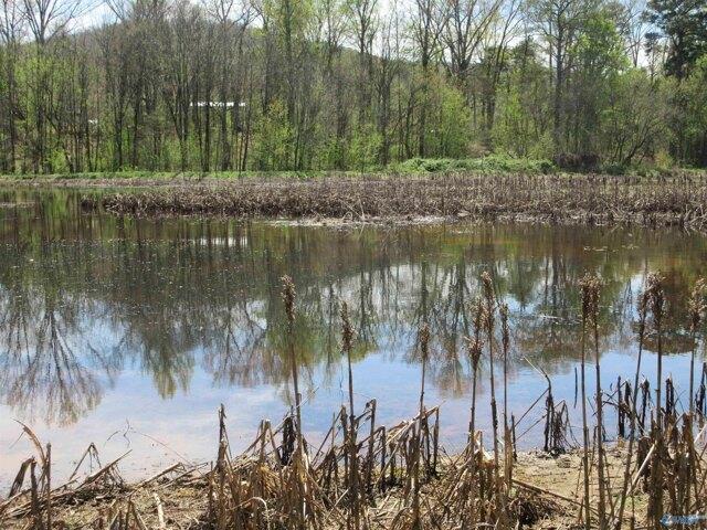 Land for sale in Scottsboro