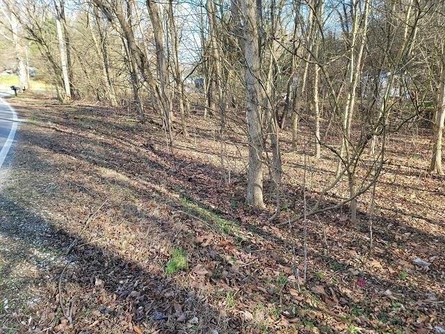 Land for sale in South Point