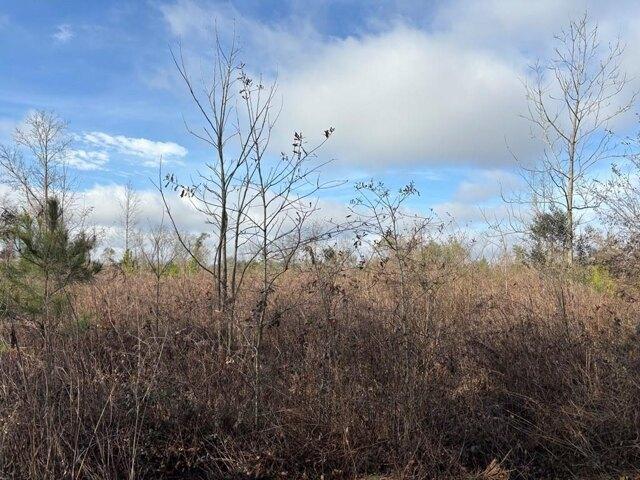 Land for sale in Troy