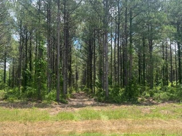 Land for sale in Troy