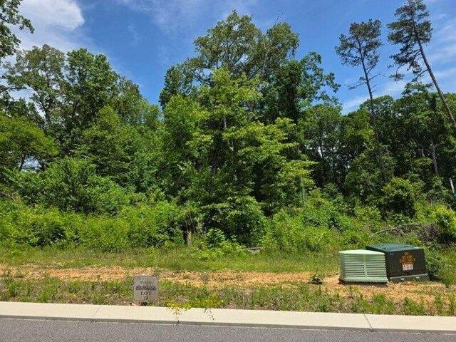 Land for sale in Riceville
