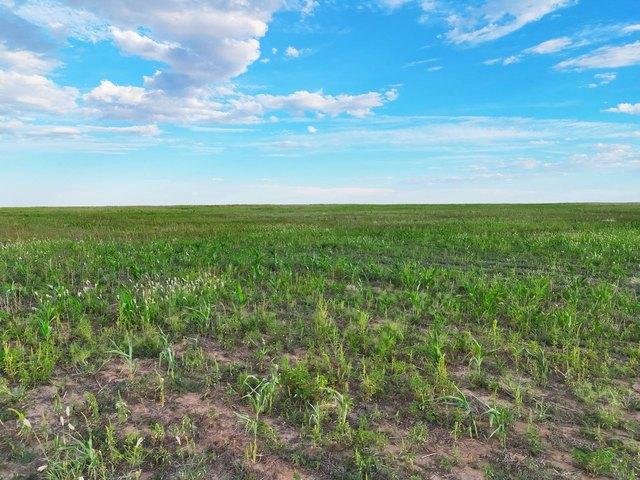 Land for sale in Walsh, Colorado