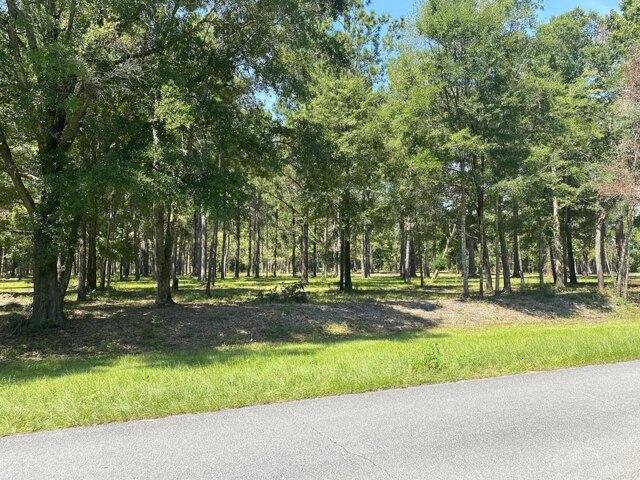 Land for sale in Wewahitchka, Florida