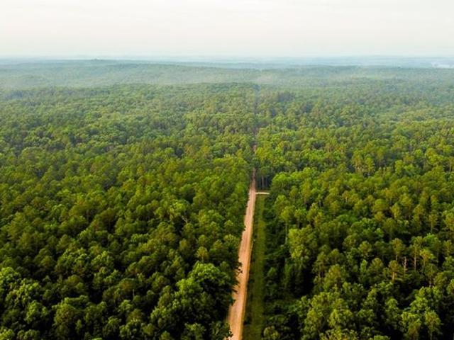 Land for sale in Shannon, Missouri