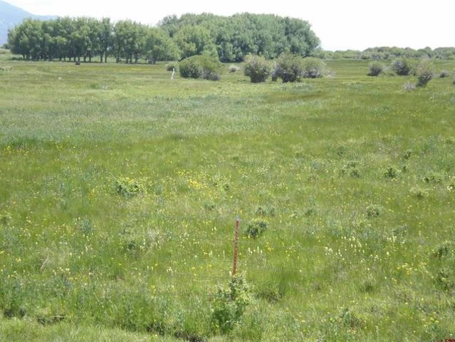 Land for sale in Saguache, Colorado