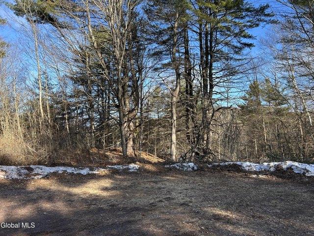 Land for sale in Whitehall, New York