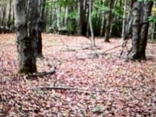 Land for sale in Alcove, New York