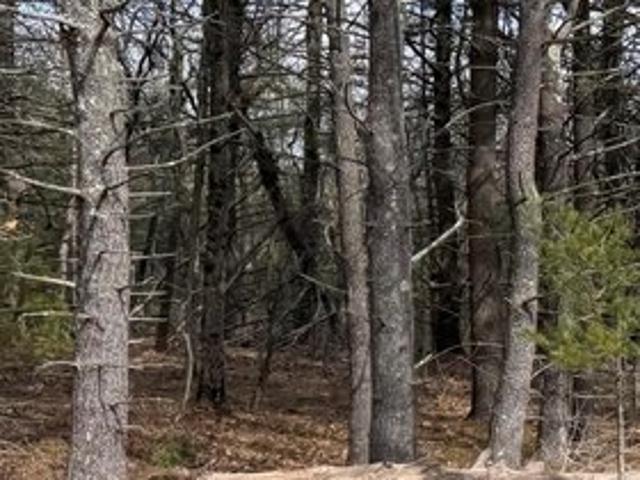 Land for sale in Town of Coeymans, Albany County