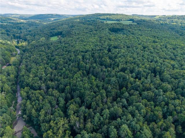 Land for sale in Dansville, New York