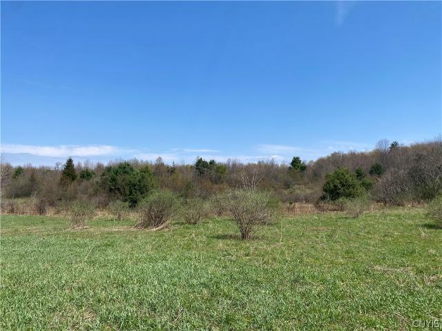 Land for sale in Loomis Corner, Town of Palermo