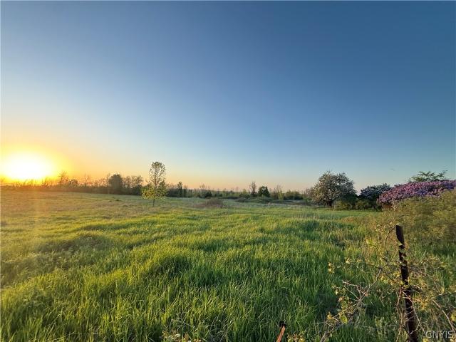 Land for sale in Chippewa Bay, New York