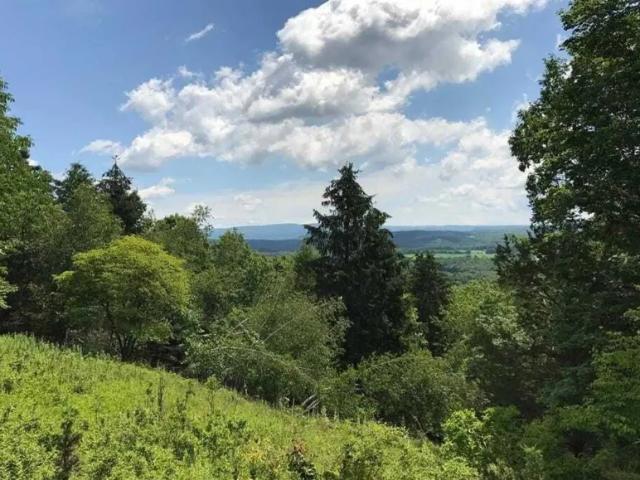 Land for sale in New York
