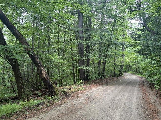 Land for sale in Town of Fowler, Saint Lawrence County