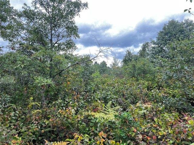 Land for sale in Minong, Wisconsin