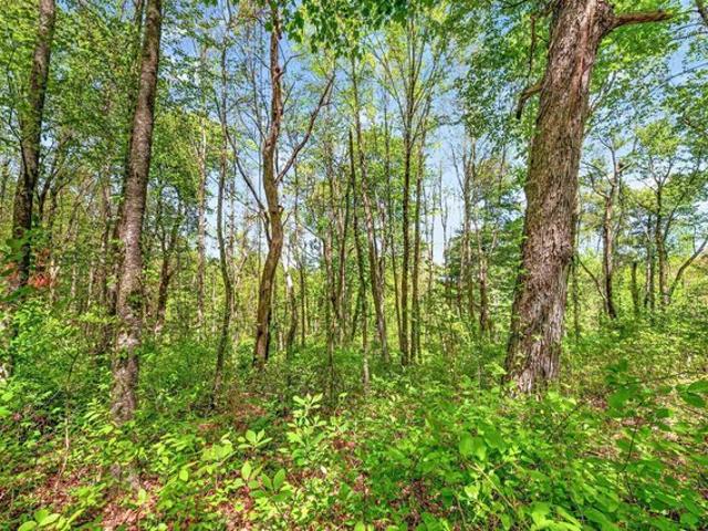 Land for sale in Virginia