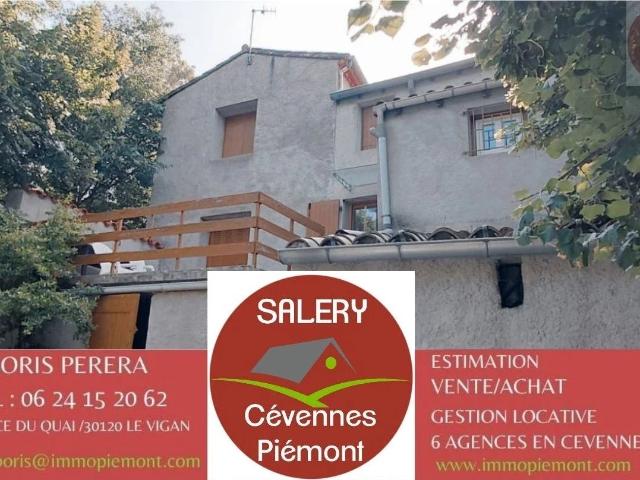 Maison vente à Le Vigan, Bréau-et-salagosse