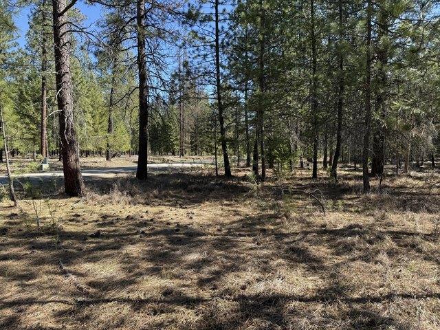 Land for sale in Chewelah, Washington