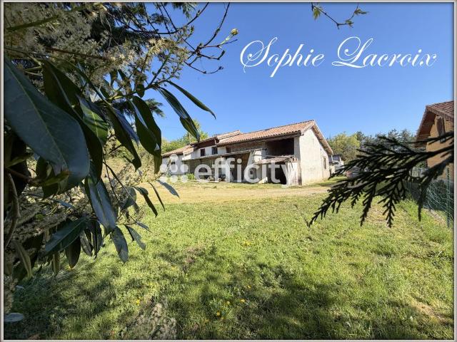Ferme vente à Vienne, Cour-et-buis