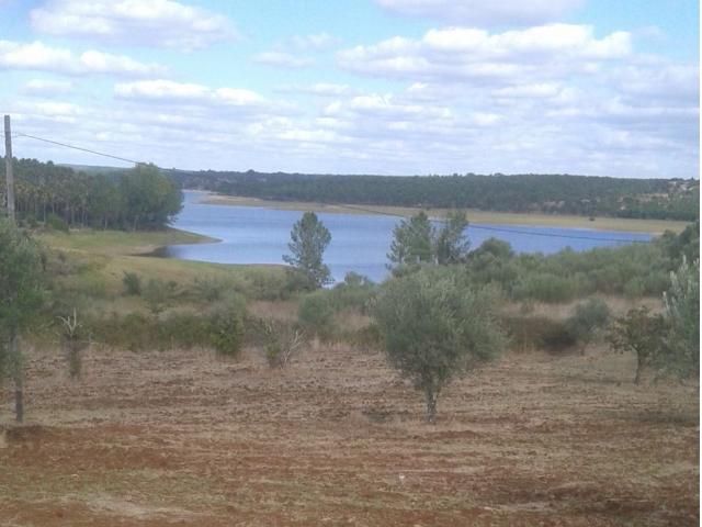 Terreno venda em Ponte De Sor, Portalegre
