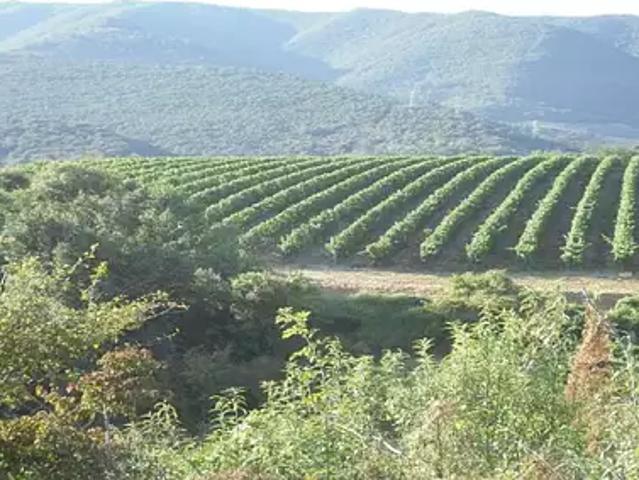 Terrain vente à Limoux, Cournanel