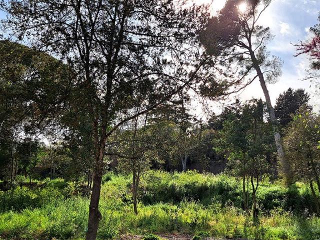 Terrain vente à Montpellier, Cournonsec