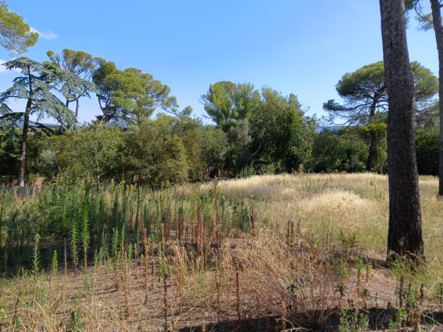 Terrain vente à Montpellier, Cournonsec