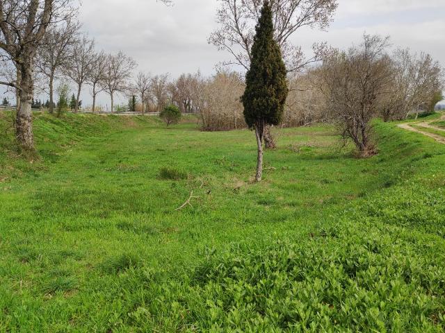 Terrain vente à Narbonne, Coursan