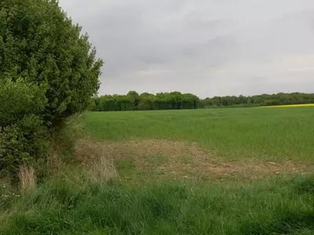 Terrain vente à Montargis, Courtemaux