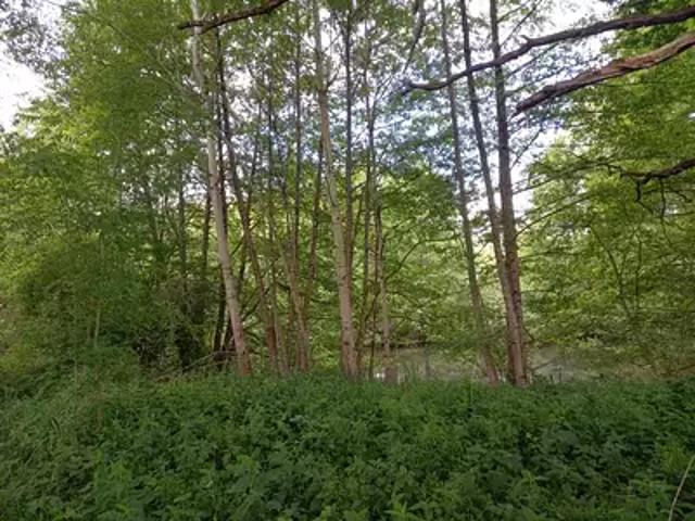 Terrain vente à Montargis, Courtemaux