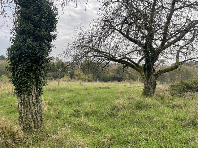 Terrain vente à Courtenay, Loiret