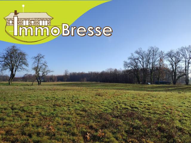 Terrain vente à Bourg-en-Bresse, Courtes