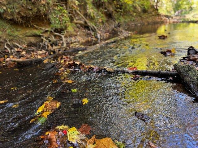 Land for sale in Virginia