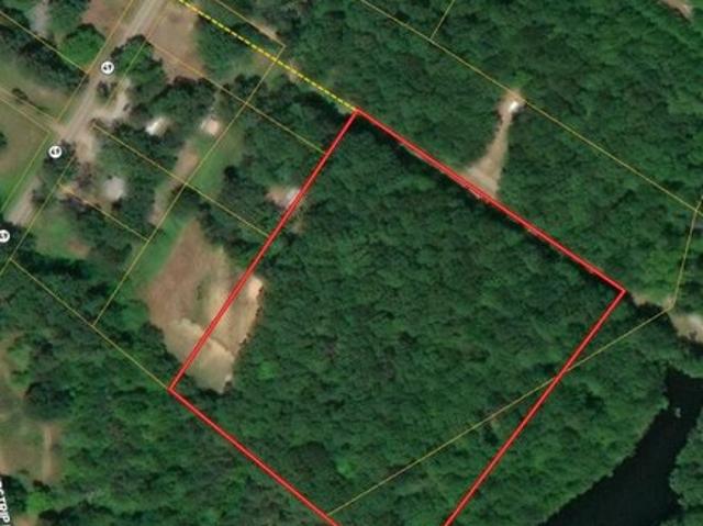 Land for sale in Chase City, Mecklenburg County