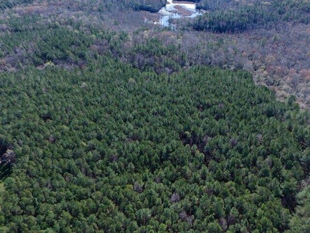 Land for sale in Virginia