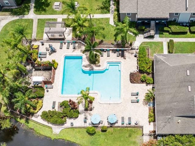 Apartment for rent in Tampa, Florida