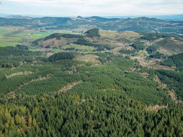 Land for sale in Oregonia