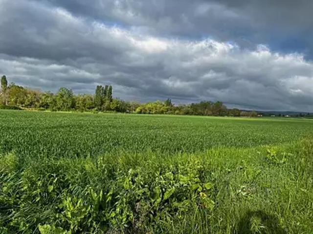 Terrain vente à Châtellerault, Coussay-les-bois