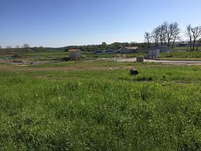 Terrain vente à Châtellerault, Coussay-les-bois