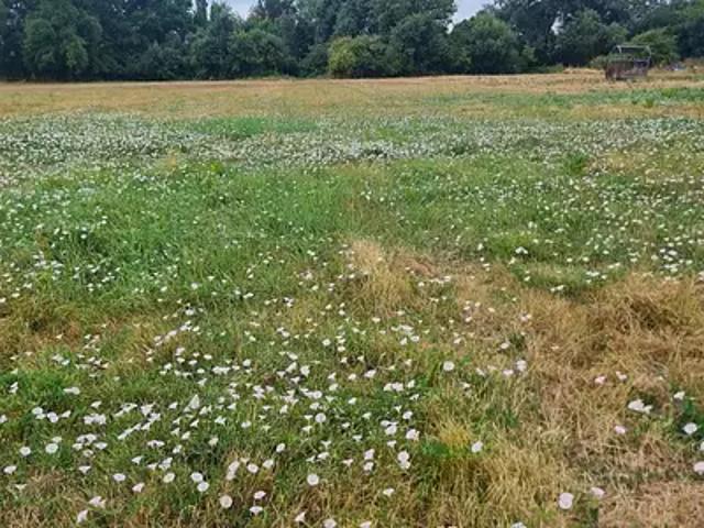 Terrain vente à Libourne, Coutras