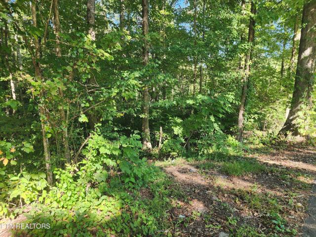 Land for sale in Tupper Town, Oliver Springs