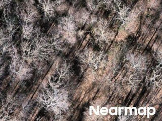 Land for sale in Haywood, North Carolina