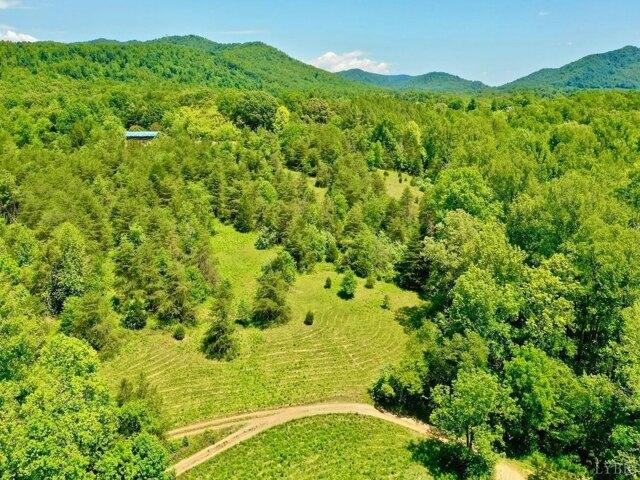 Land for sale in Virginia
