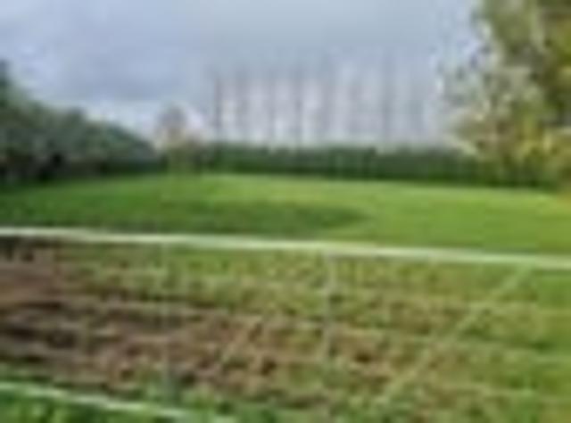 Land for sale in Ohaeawai, Northland