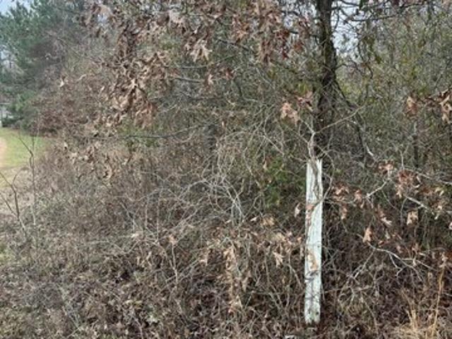 Land for sale in Natchez, Adams County