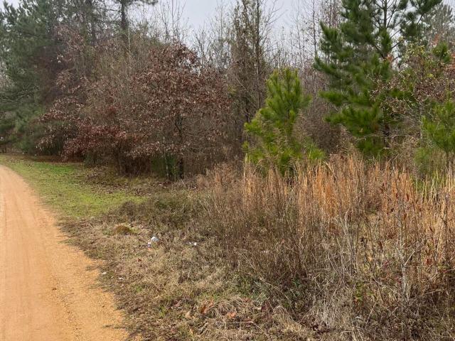 Land for sale in Natchez, Adams County