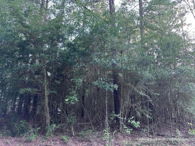 Land for sale in Carriere, Mississippi