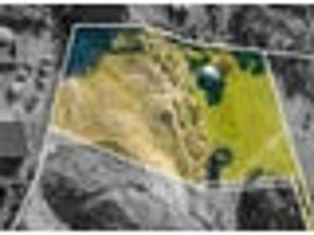 Land for sale in Horowhenua District