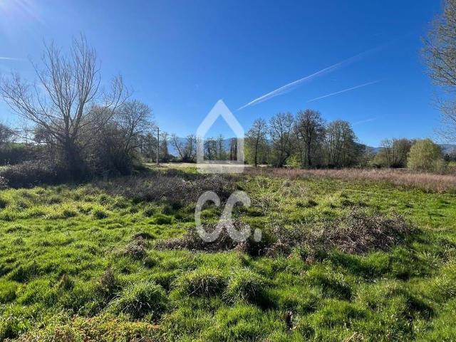 Terreno venda em Castelo Branco