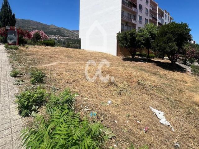Terreno venda em Castelo Branco