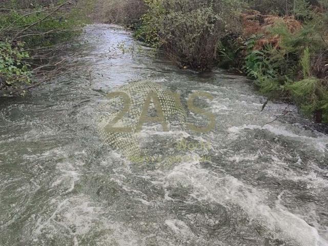 Terreno venda em Castelo Branco